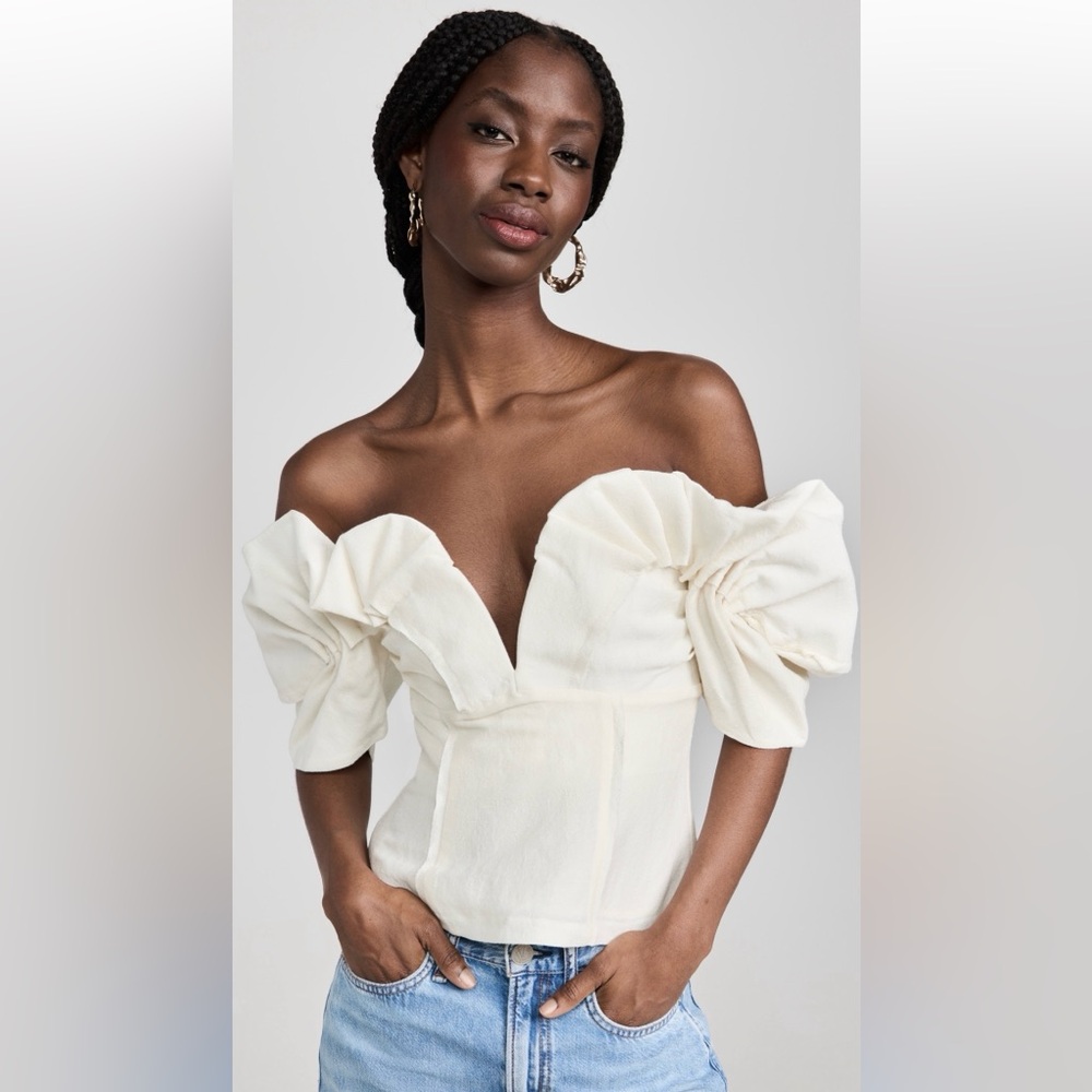 Cult Gaia Abby Top (worn once)